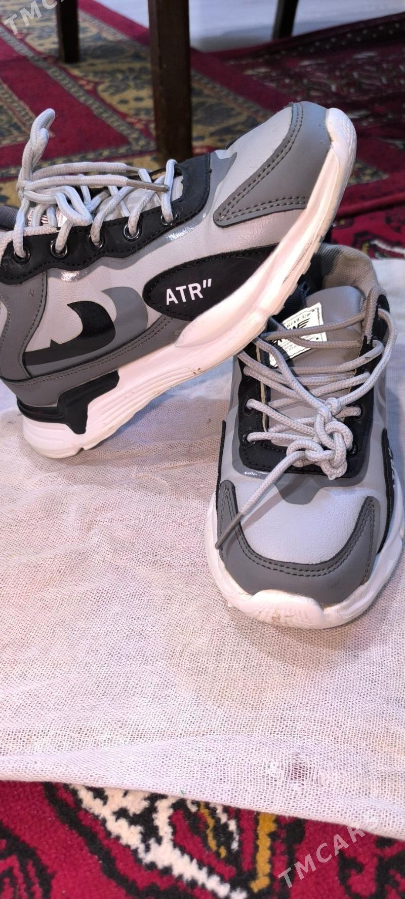 Çaga Krasopkalar красофка - Balkanabat - img 7