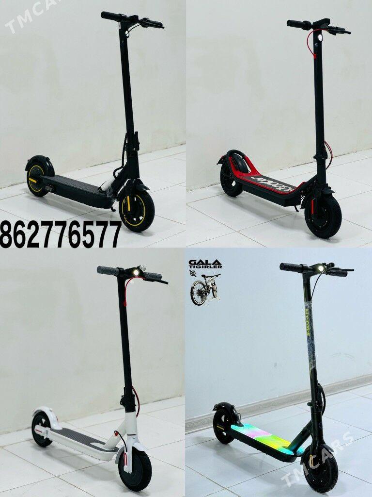 TIGIR MASYN MATOR KARSOK PARTA - Гуртли - img 4