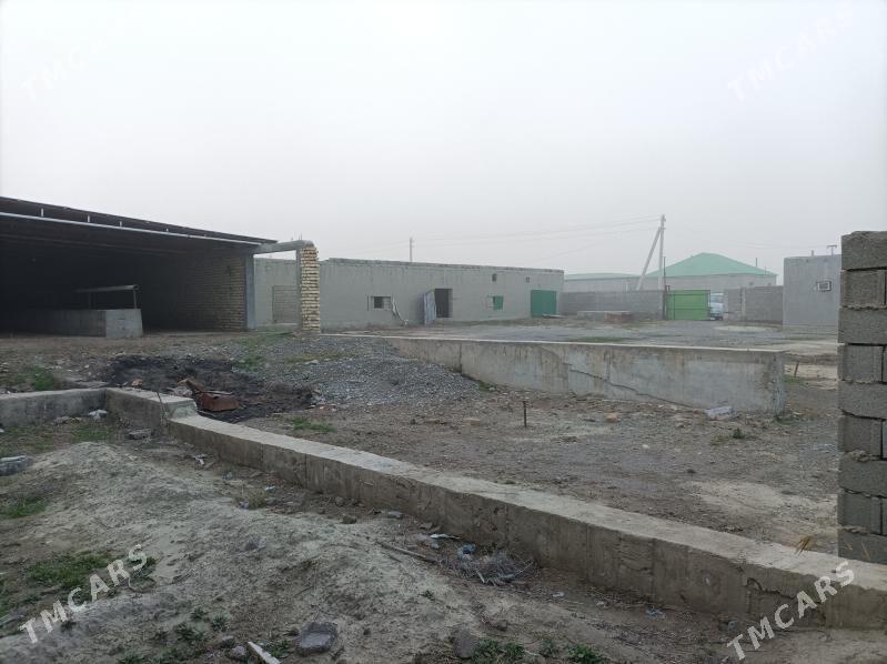 mellek ýer - Бахарден - img 3