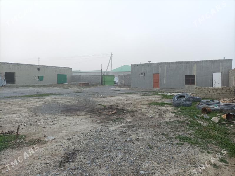 mellek ýer - Бахарден - img 4