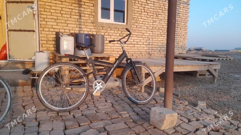 tigir - Теджен - img 4