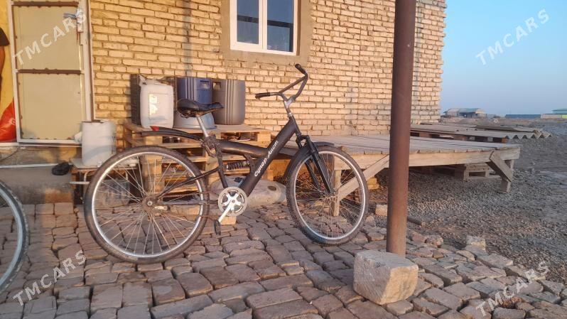 tigir - Теджен - img 3