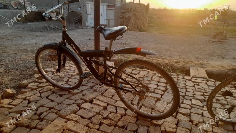 tigir - Теджен - img 2