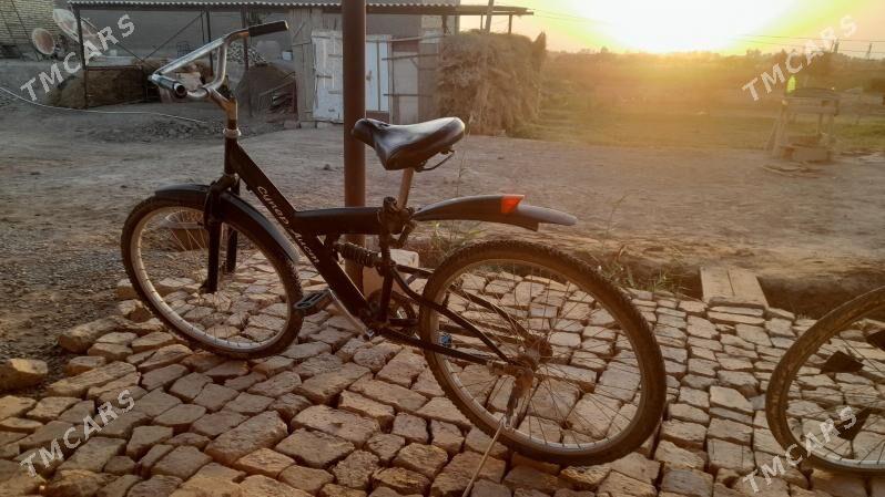 tigir - Теджен - img 1