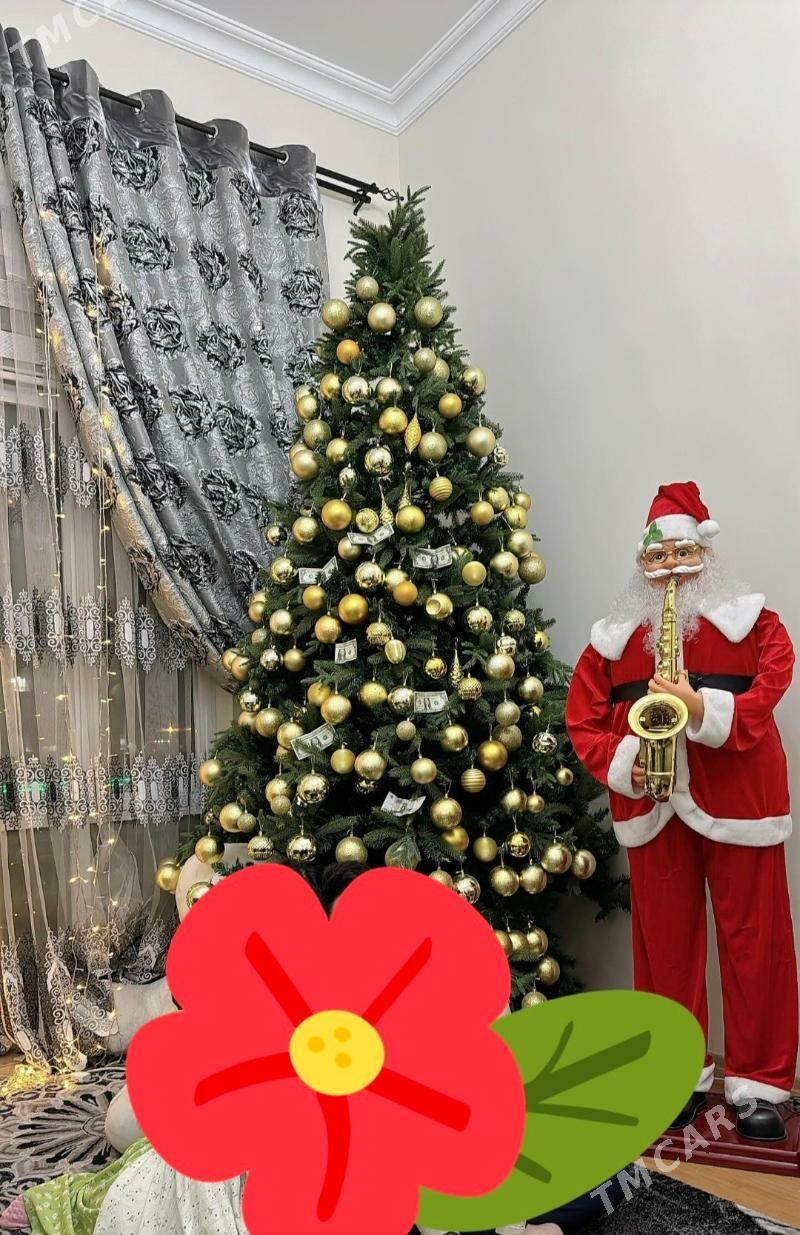 Yolka - Aşgabat - img 1