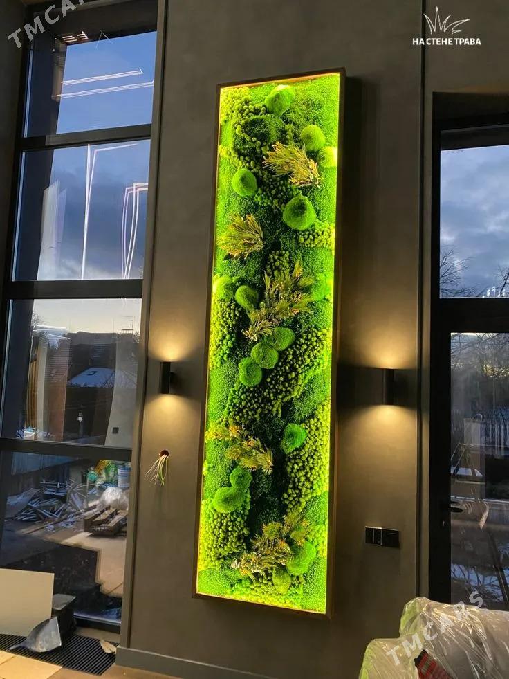 Фитопанно - Ашхабад - img 2