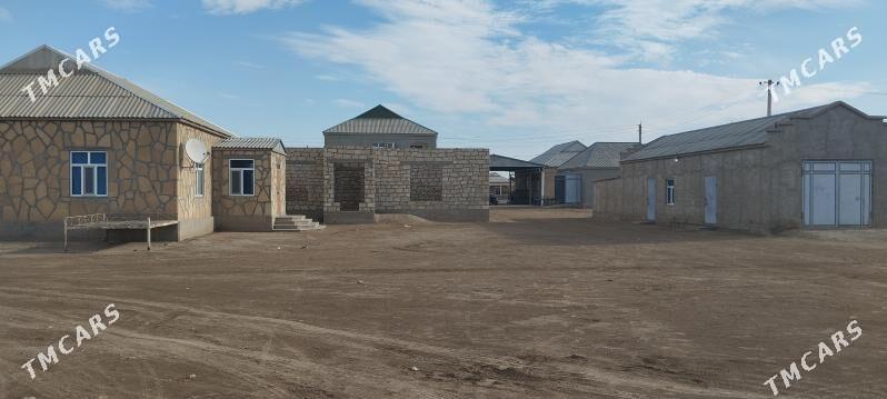 satlyk jay - Esenguly - img 2