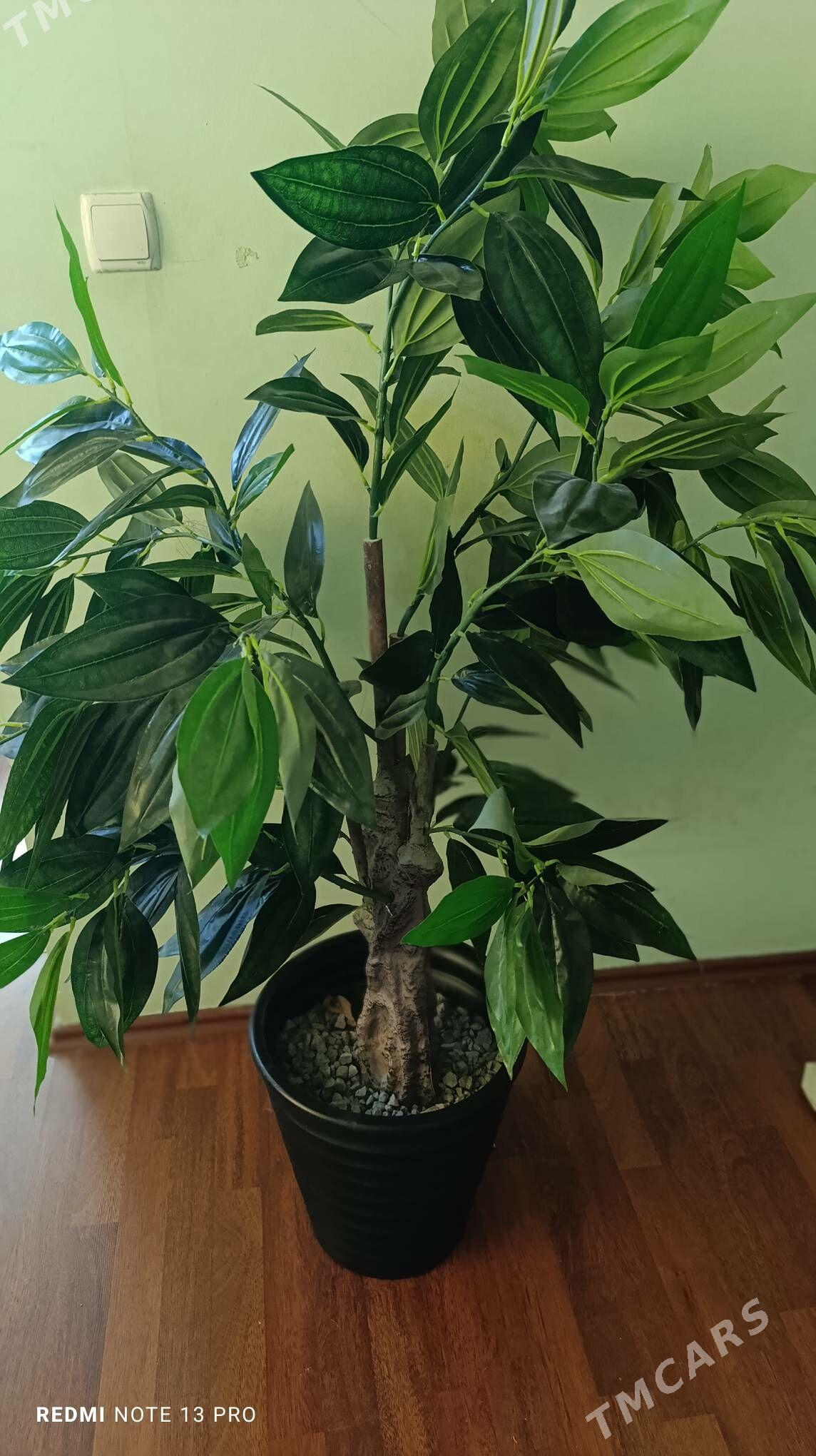 Искусственное дерево - Ашхабад - img 2