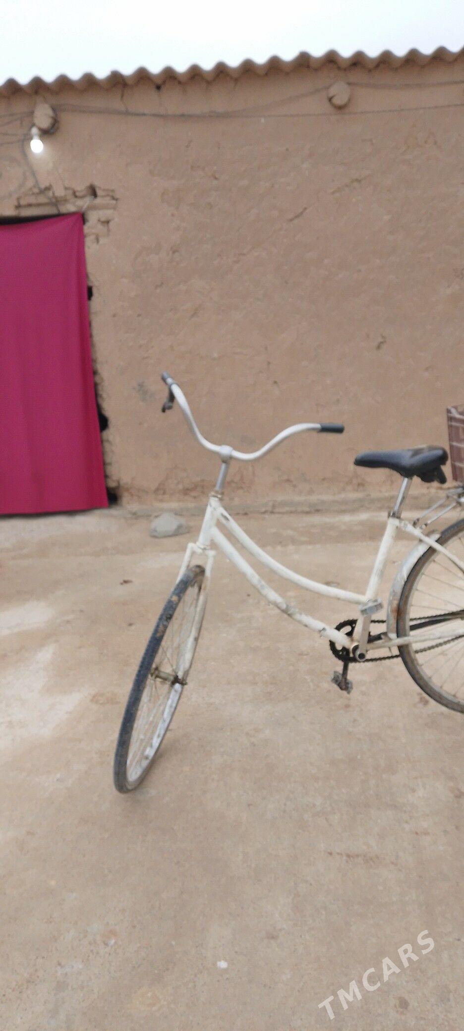 welik - Murgap - img 3