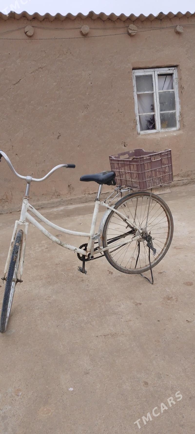 welik - Murgap - img 5