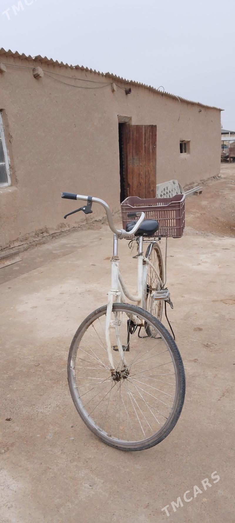 welik - Murgap - img 4