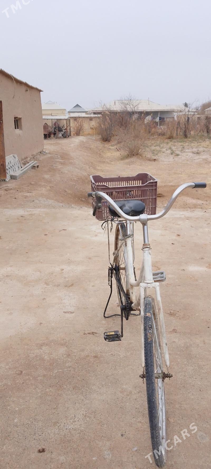 welik - Murgap - img 2