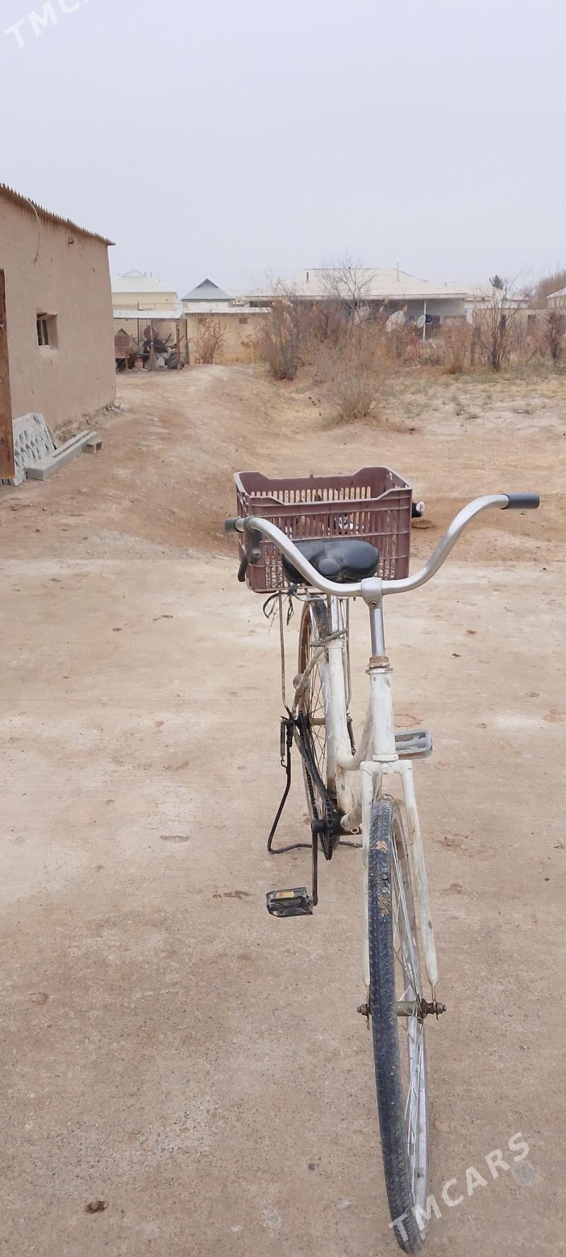 welik - Murgap - img 6