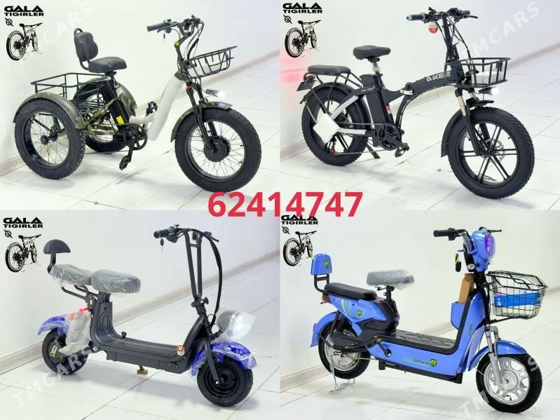 TIGIR MASYN MATOR KARSOK PARTA - Гуртли - img 11