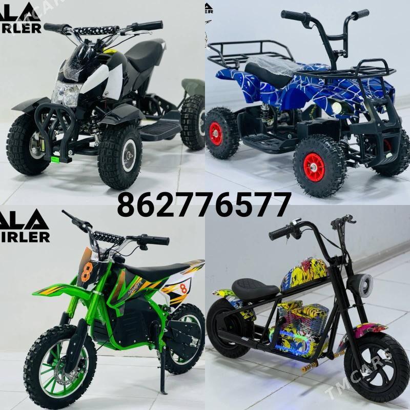 TOKLY TIGIR SAMAKAT MATOR MASY - Gurtly - img 10