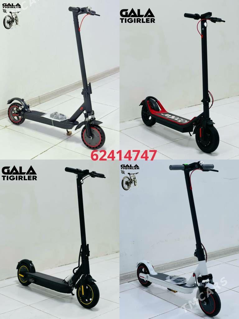 TOKLY TIGIR SAMAKAT MATOR MASY - Gurtly - img 8