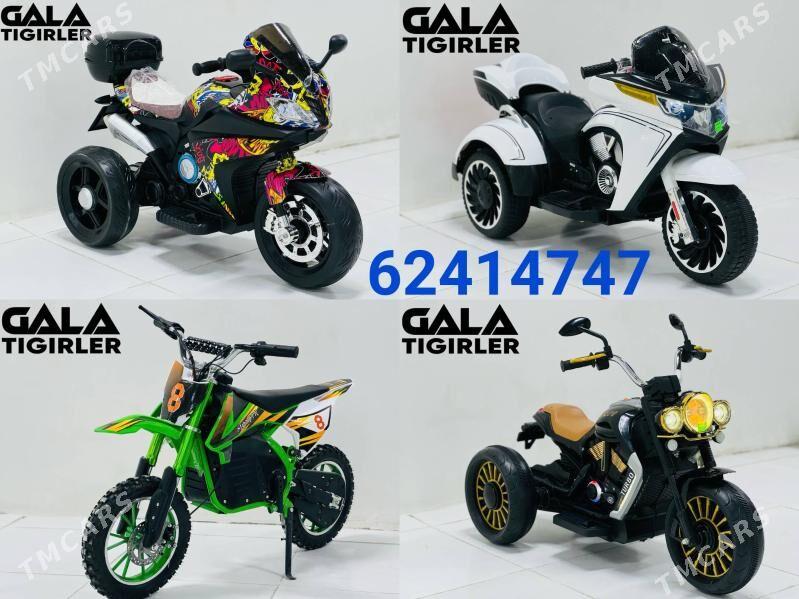 TOKLY TIGIR SAMAKAT MATOR MASY - Gurtly - img 2