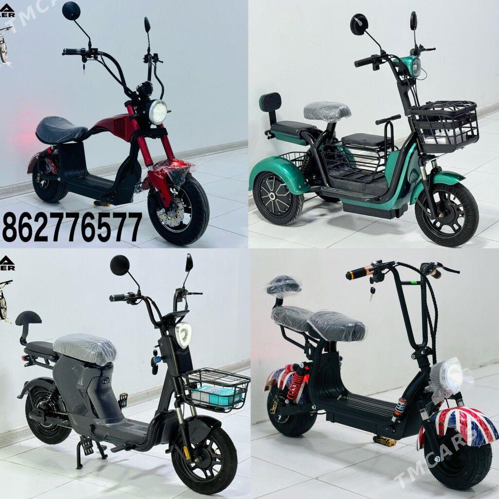 TOKLY TIGIR SAMAKAT MATOR MASY - Gurtly - img 5