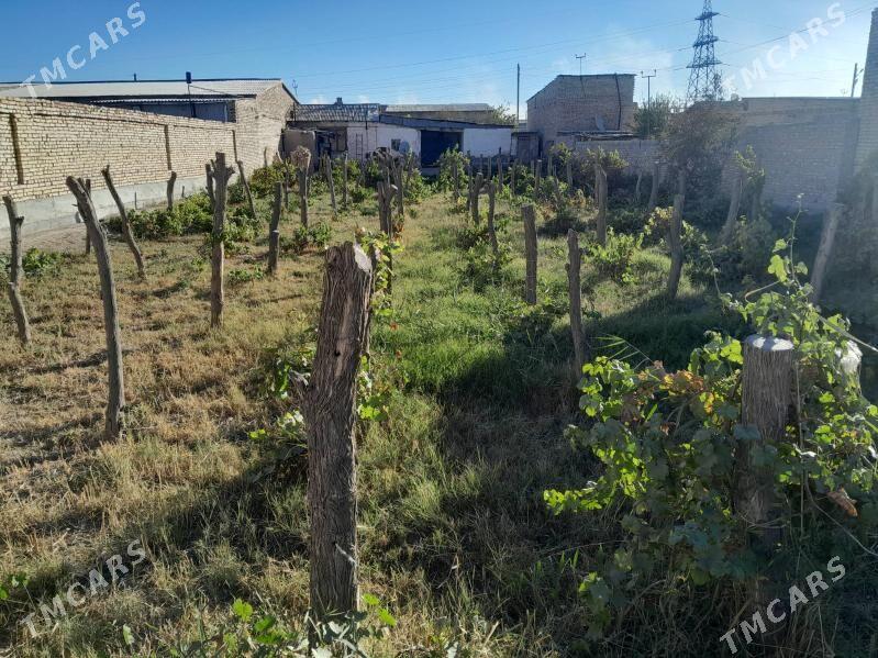 5 комнат пес джай прамзонада - Туркменабат - img 2