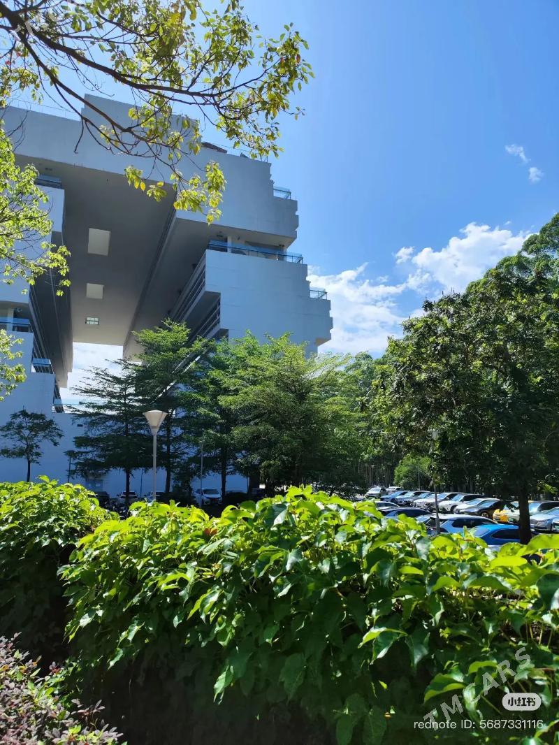 AKSIYA HYTAYA OKUW  - Ашхабад - img 4