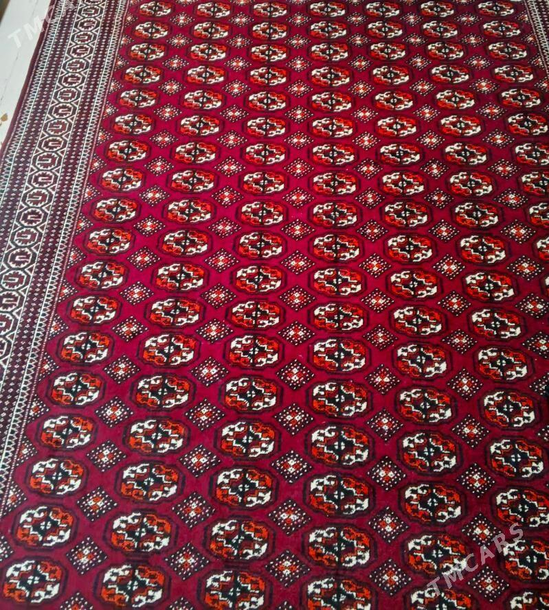 Haly - Balkanabat - img 1