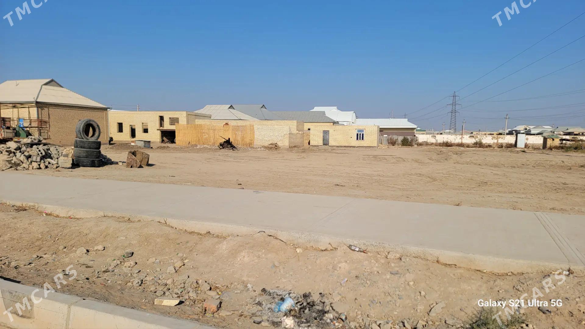 Satlyk yer - Mary - img 4