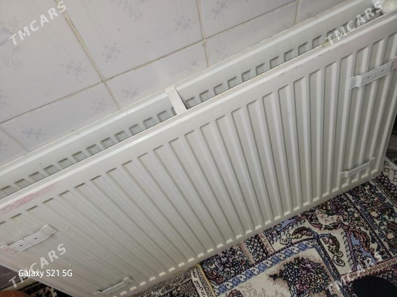 Ataplenya - Mary - img 1