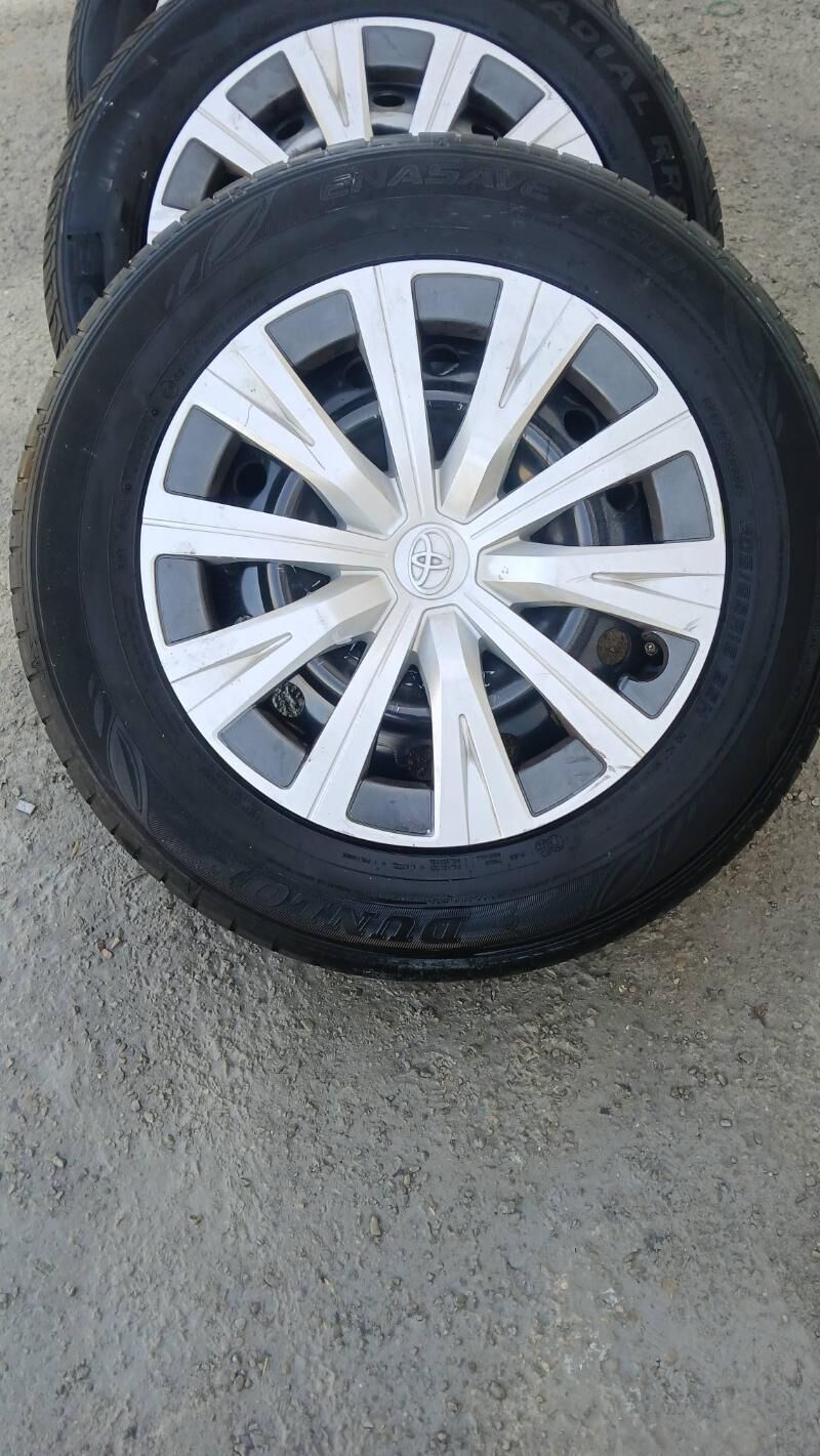 Diska pakyryska 16 2 500 TMT - Bedew - img 2