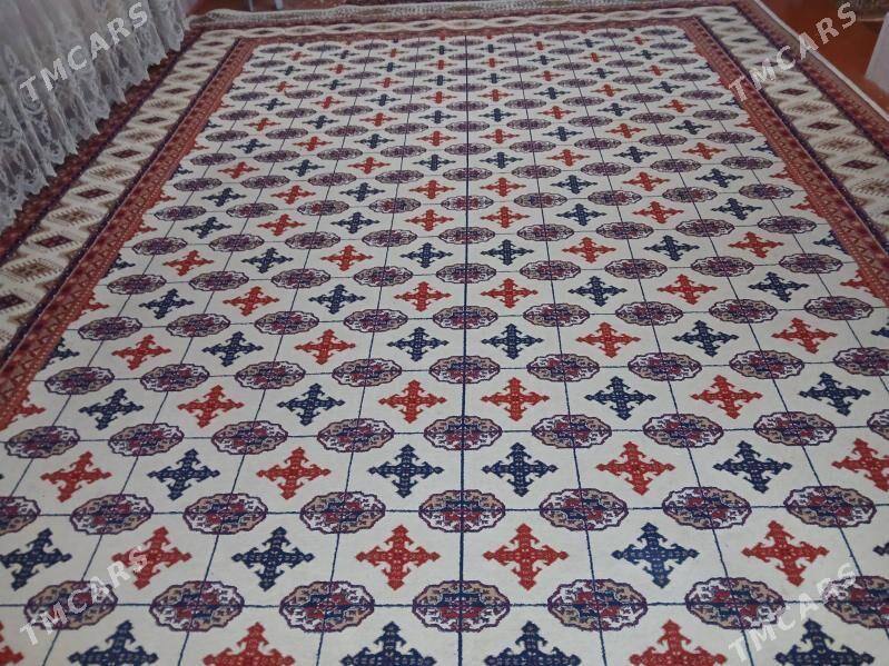 haly - Türkmenabat - img 2