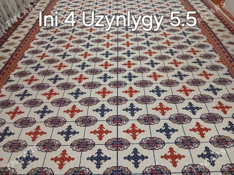 haly - Türkmenabat - img 3