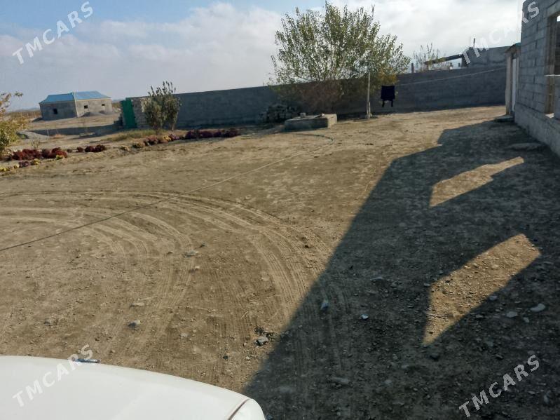 Satlyk jay - Bäherden - img 1