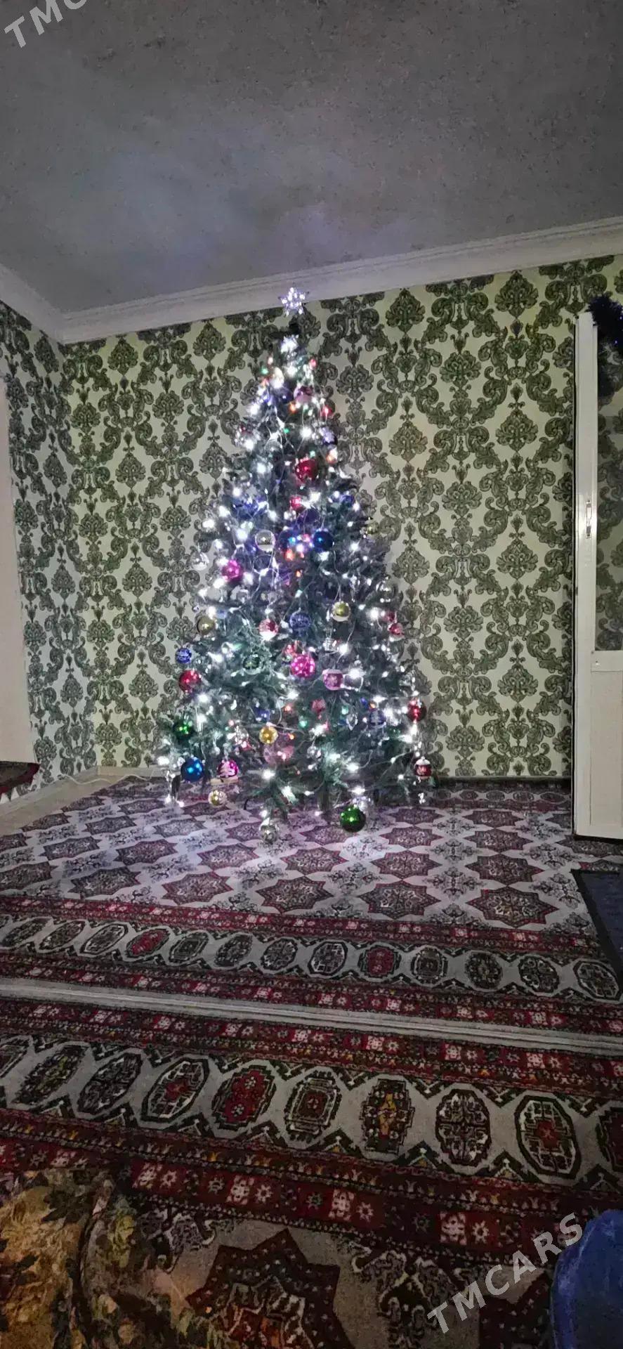 arça ýolka ёлка - Балканабат - img 2