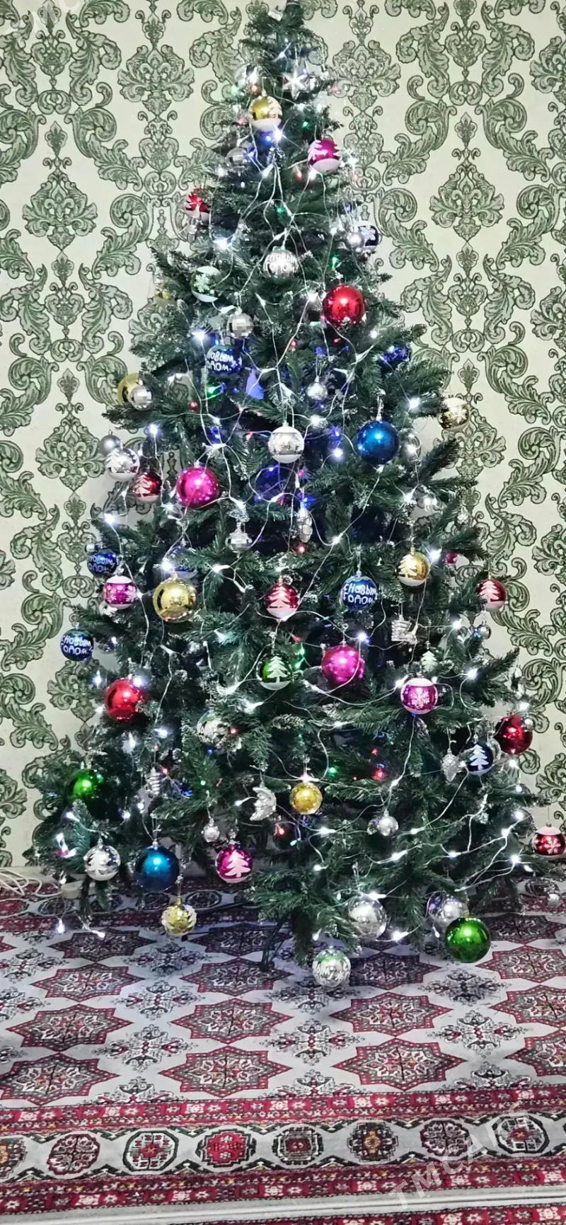 arça ýolka ёлка - Балканабат - img 1