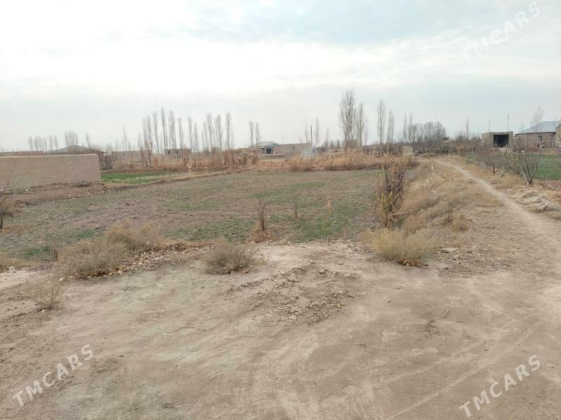 jay satylyar - Görogly (Tagta) - img 16