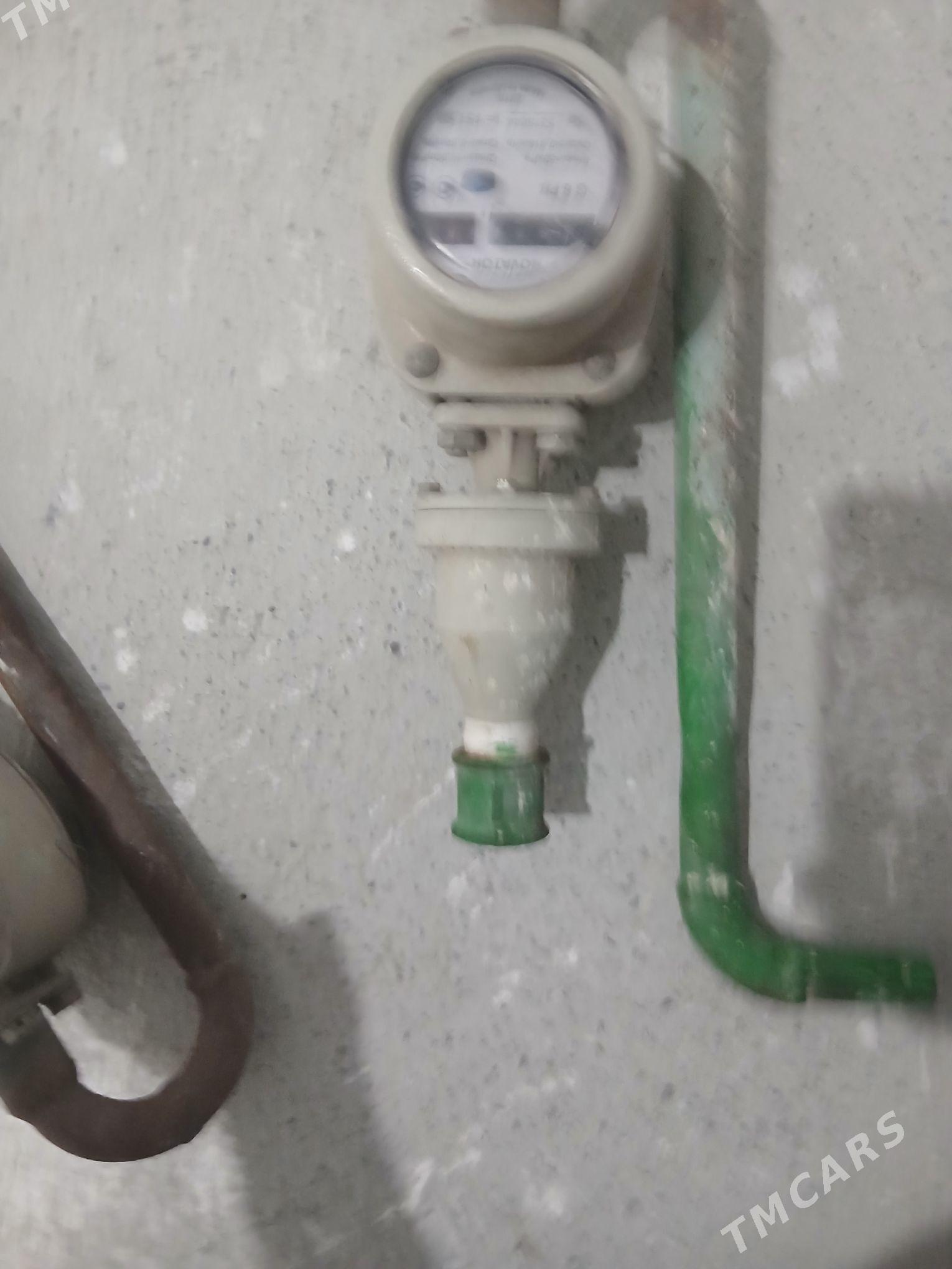 gaz uçoçuk - Büzmeýin - img 1