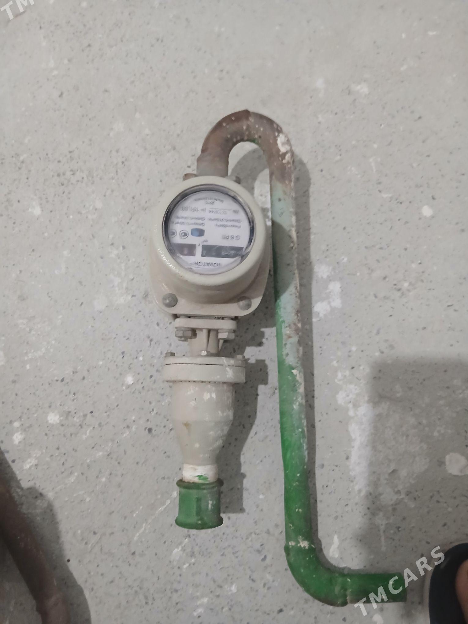 gaz uçoçuk - Büzmeýin - img 4