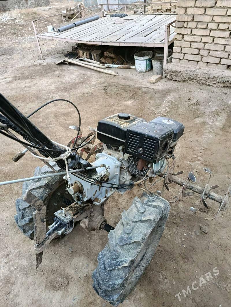 yer suryan - Murgap - img 2