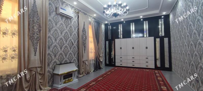 Anew plan jay - Änew - img 2