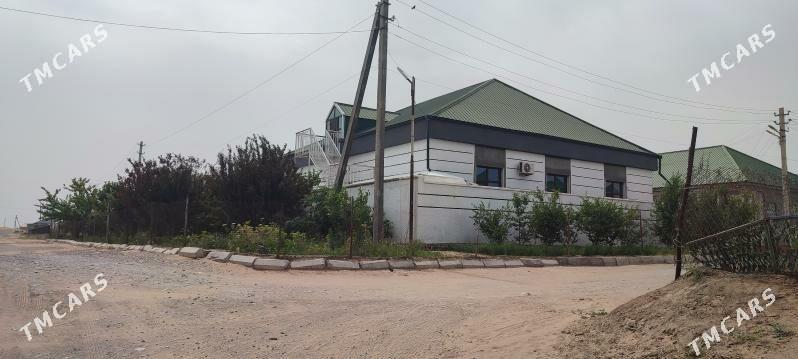 Anew plan jay - Änew - img 6