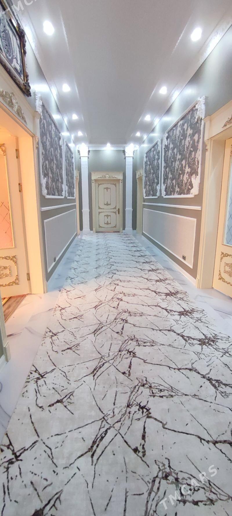 Anew plan jay - Änew - img 5