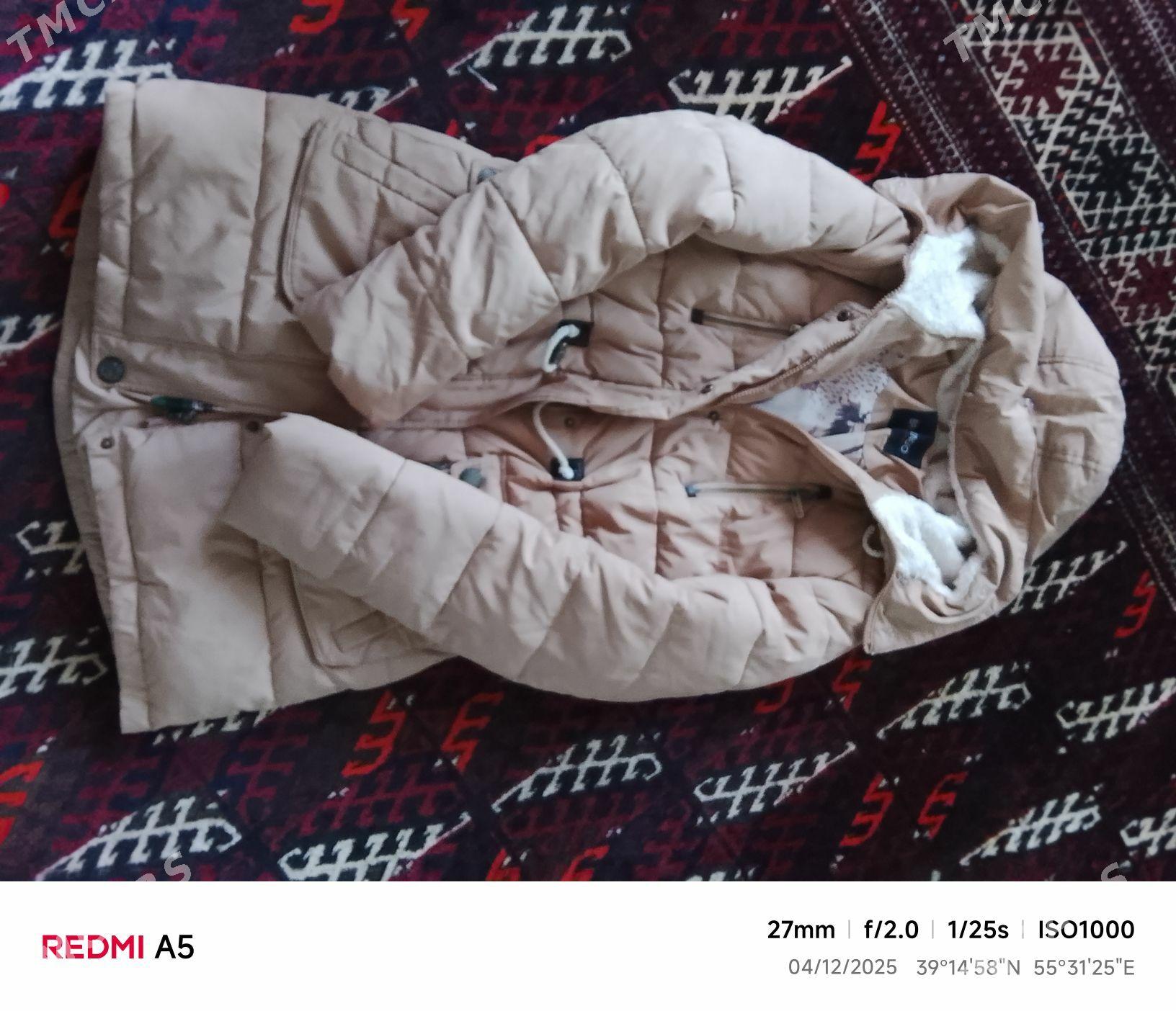 Gyz kurtga - Bereket - img 1