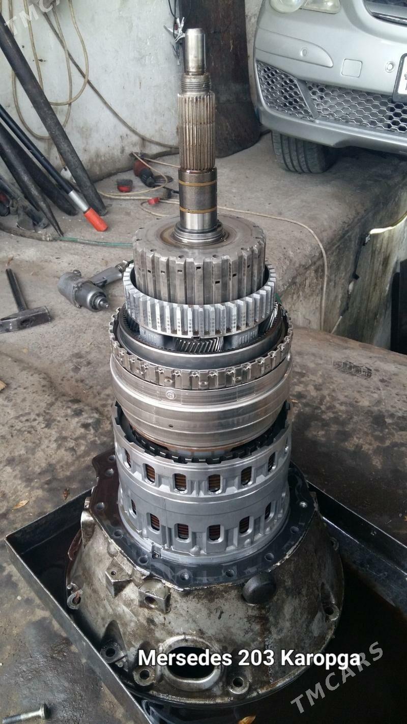 is gözleýan - Sakarçäge - img 2