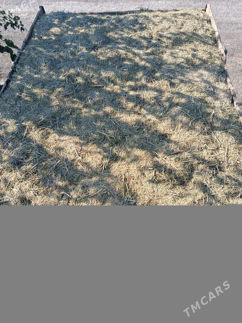 yannak - Gökdepe - img 4