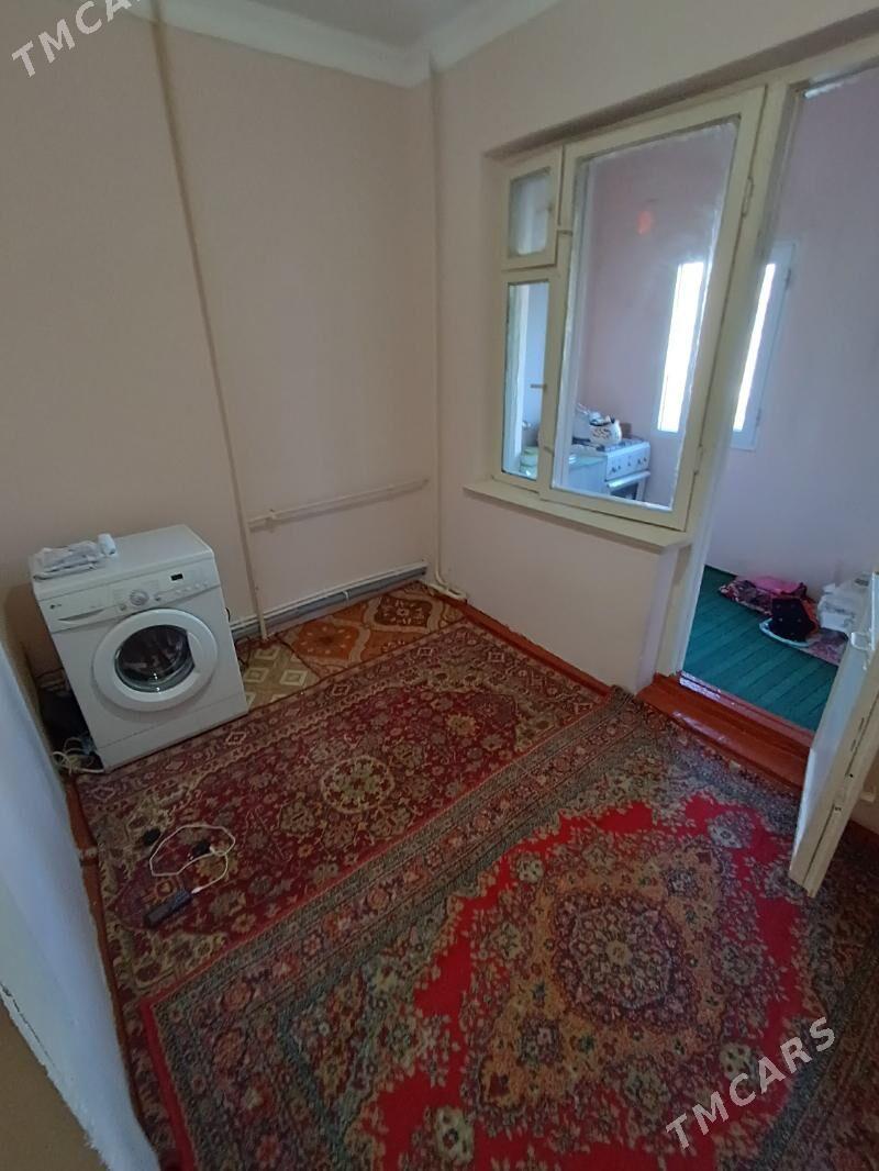 Satlyk jay - Mary - img 4