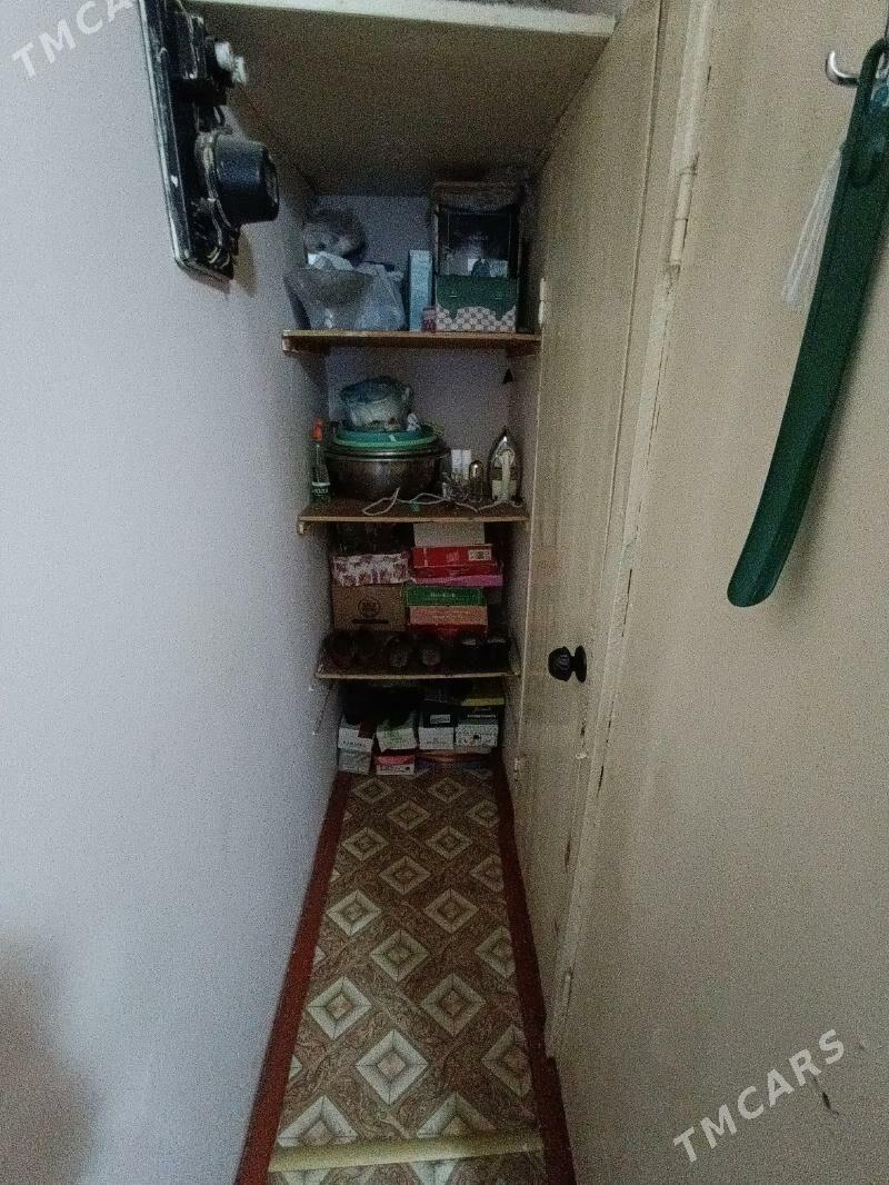 Satlyk jay - Mary - img 7