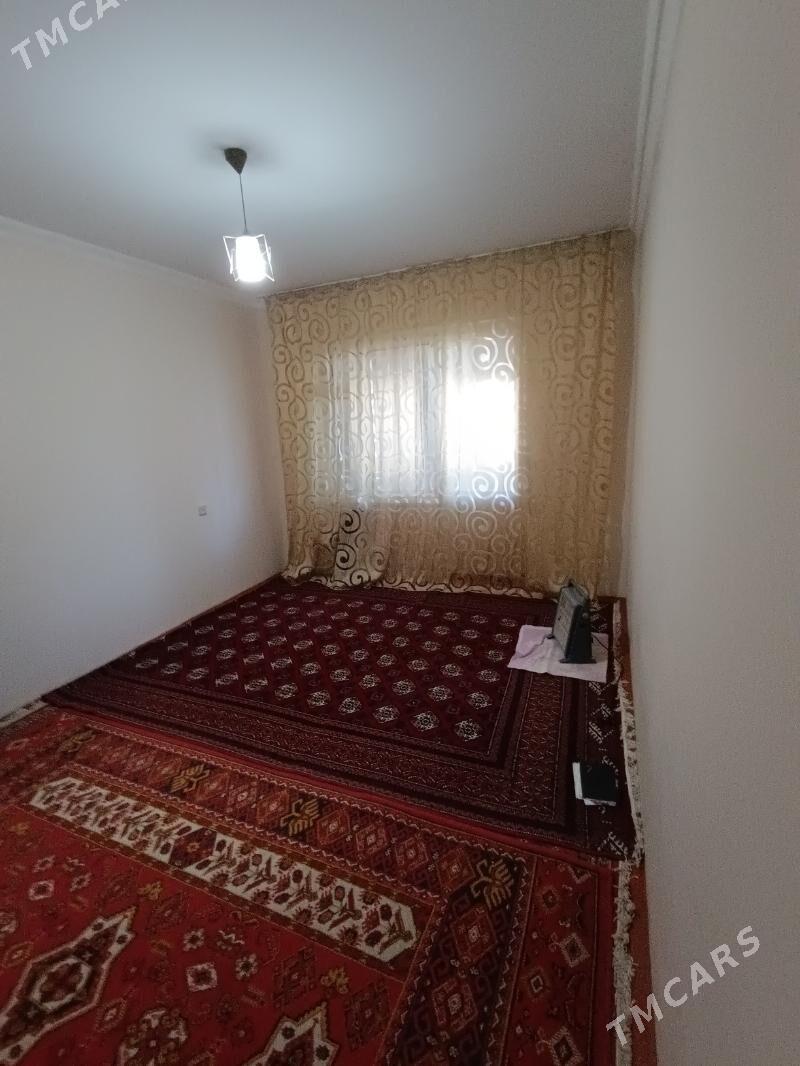 Satlyk jay - Mary - img 3