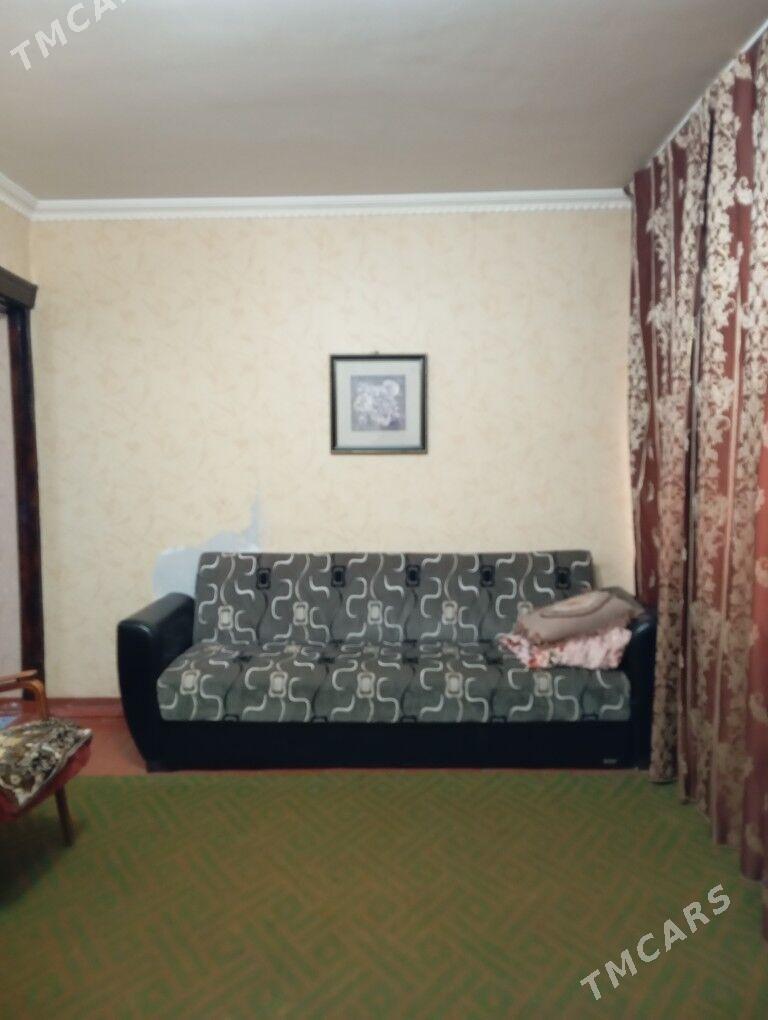 Arenda jay  - Mary - img 5