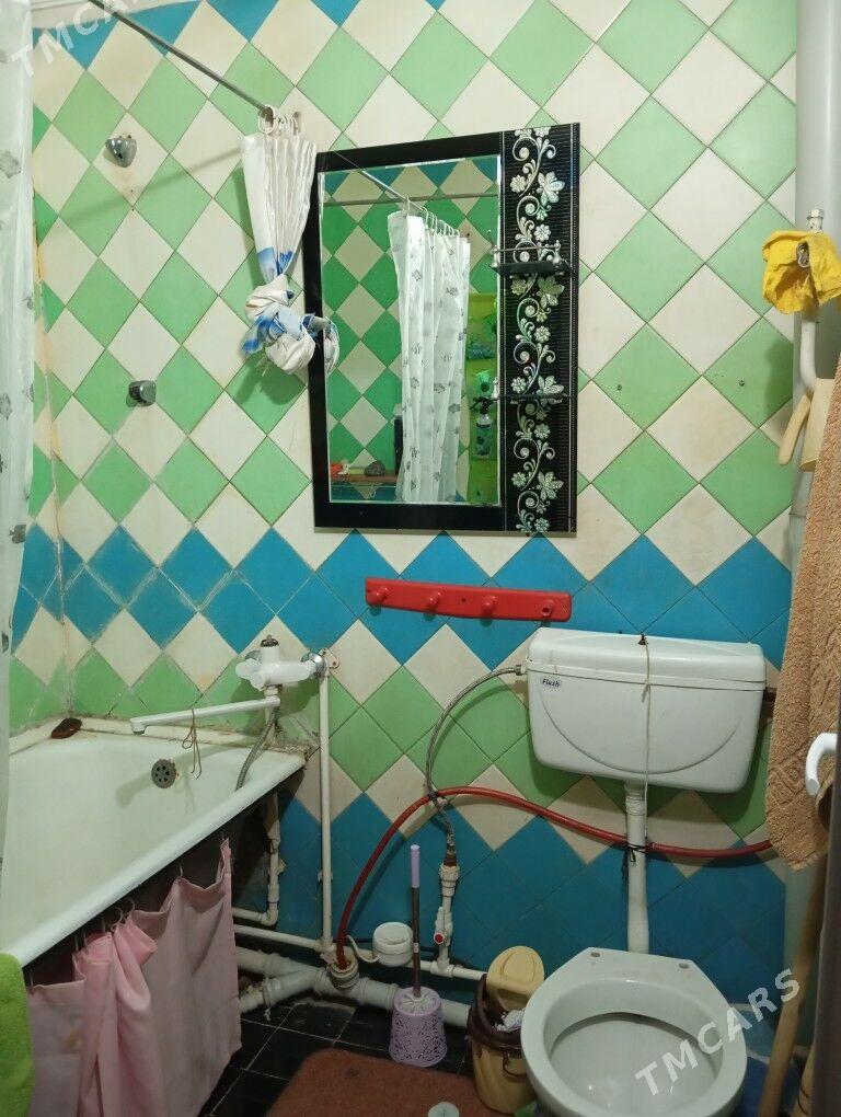 Arenda jay  - Mary - img 3