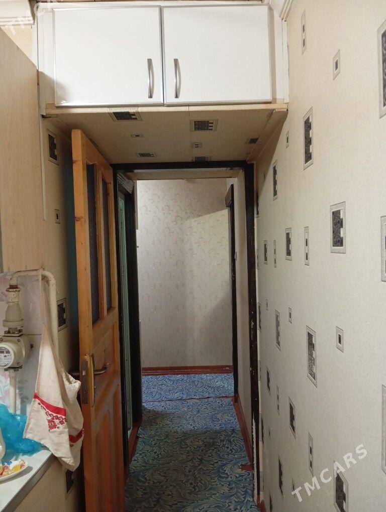 Arenda jay  - Mary - img 2