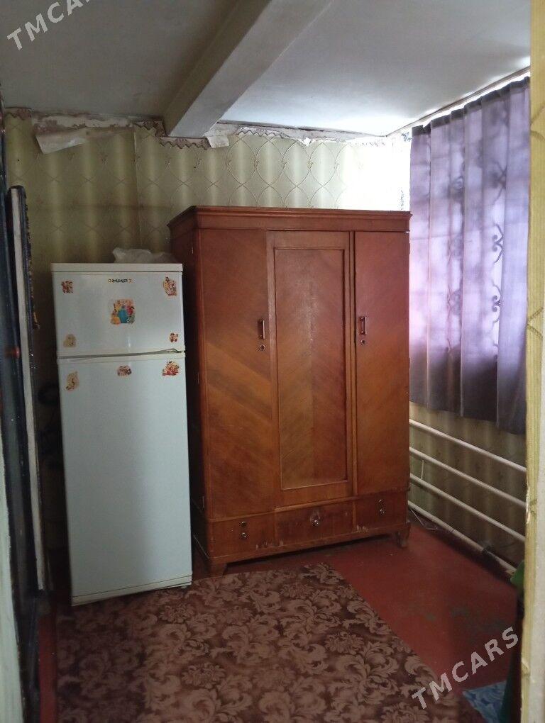 Arenda jay  - Mary - img 7